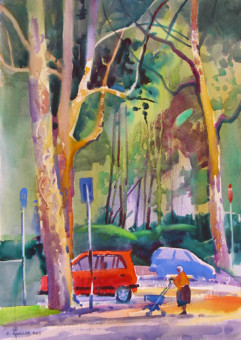 Plane Trees by Via Michelangelo Plane Trees by Via Michelangelo