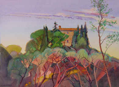 Olive Grove &amp; Villa near San Lorenzo Di Colline
