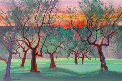 Ancient Olive Grove at Sunset, Quintole