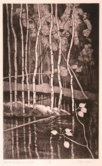 Pond and Aspen Patterns By Sunnyside Pond and Aspen Patterns By Sunnyside