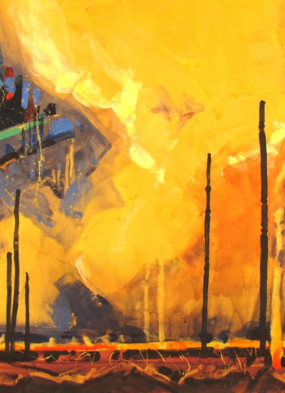 Beauty in the Burn - The Papoose Fire Paintings