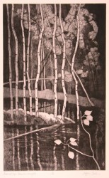 Pond & Aspen Patterns by Sunnyside Pond & Aspen Patterns by Sunnyside