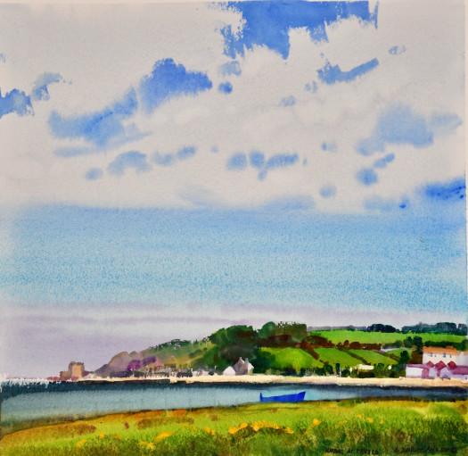 steve quiller cornwall england dsc steve quiller cornwall england dsc